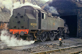 82033 in grimy lined green outside the shed.