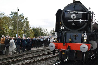82045